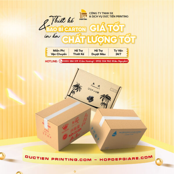 In Ấn Thiết Kế Thùng Carton